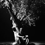 Khamari – Sycamore Tree