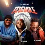DJ Baddo & Portable Ft. S Brown – Fesemule