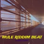 DJ Damlex Soundit – Mule Riddim Beat
