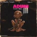 DJ Shaolin Temple & Fela 2 – Aduni (Cruise Beat)