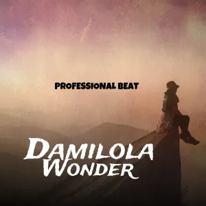 Professional Beat Damilola Wonder Mp3 Download