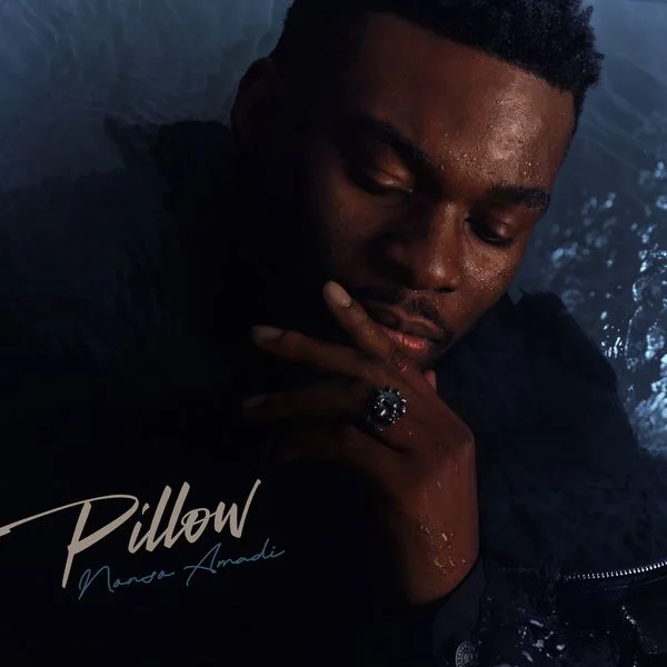 Nonso Amadi E28093 Pillow