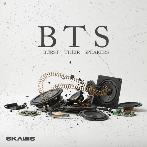 Skales B.T.S (Burst Their Speakers) Mp3 Download