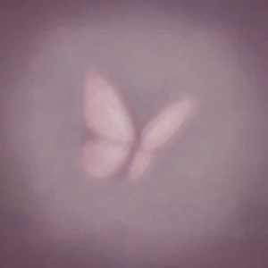 dice hourglass mp3 music audio album download 300x300 1