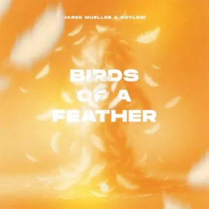 jared mueller birds of a feather ft poylow mp3 music audio album download 300x300 1