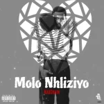 MaxChain – Molo Nhliziyo