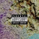 Yng Eight – Até Apagar a Chama